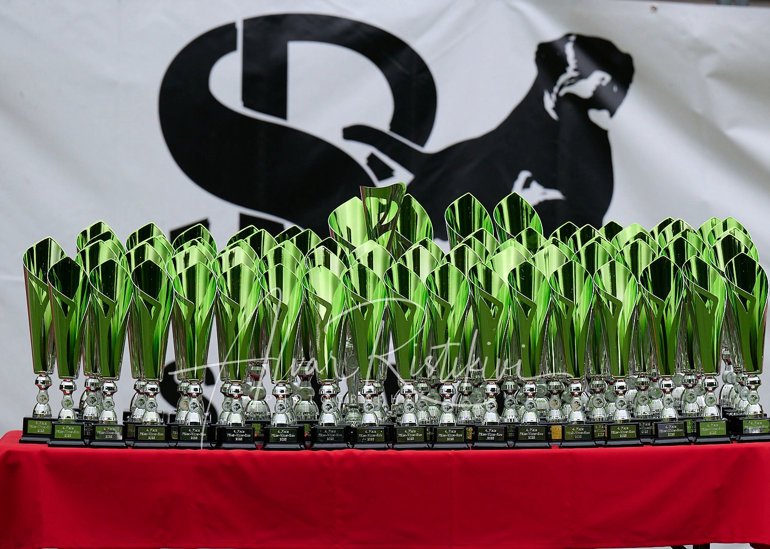 ADRK KS Pfalzer winner 2025 buduaar